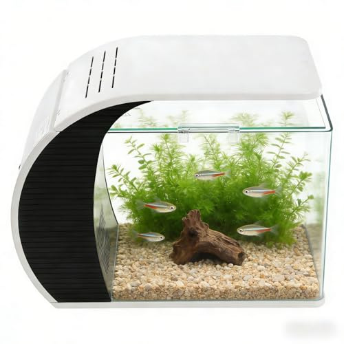 Skrivbord akvarium komplett set 19 l glasakvarium med LED-belysning, filter och pump, perfekt för vardagsrum, kontor, sovrum 42,3 x 22,6 x 31,5 cm