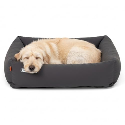 Doctor Bark Hundebett Orthopädisch - Waschbar bis 95°C, Geruchsfrei & Hygienisch - Kuscheliger Hundekorb Mittelgroße Hunde mit Hundematratze (M - 80x70 cm, Grau)