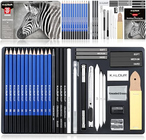 KALOUR PDAS Kit de dessin 36 pièces - Fournitures de croquis professionnels - Comprend un tutoriel, un graphite, un charbon de bois, pour artistes, adultes, adolescents, débutants