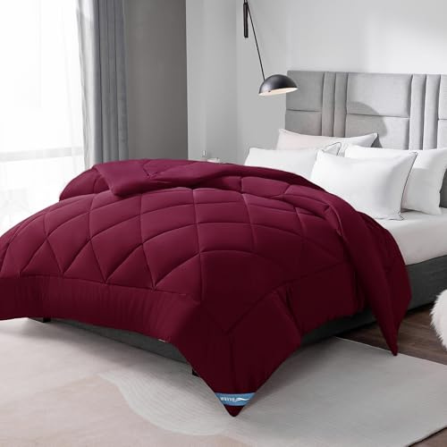 WAVVE Couette Tempérée 300GSM en Microfibre, Édredon Lit 2 Personnes 220x240 cm pour Lit 140x190/160x200, Grand Chaud Épais Garnissage 300g/m², 240x220 Rouge