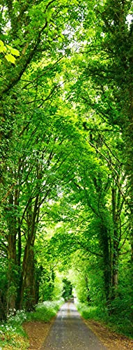 A.Monamour Türtapete Selbstklebend Türfolie Türposter 3D Straße Durch Grüne Bäume Wald Naturlandschaft Vinyl Folie Türdeko Tapete Wandbild Türaufkleber Türtattoo 90 x 200 cm