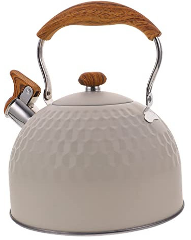 GLEAVI Bouilloire Siffante Acier Inoxydable Pot Pratique Avec Poignée Confortable Pour Ébullition Eau Plaques à Induction Et