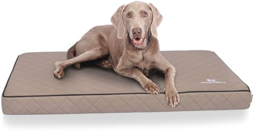 Knuffelwuff Orthopädische Hundematte Juna Hundebett aus laser gestepptem Kunstleder waschbar Hunde ortho orthopädisch memory XXXL 136x84cm Grau Übergröße für große Hunde