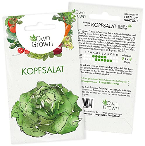 Kopfsalat Samen: Premium Salat Samen zum Anbau von ca. 500 Salat Pflanzen – Bestes Kopfsalat Saatgut für Hochbeet und Garten – Salat Saatgut – Gemüse Samen Garten – Samen Gemüse Anzucht von OwnGrown
