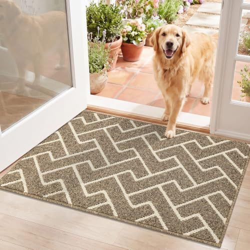 Biscpro Fußmatte Innen, Wasserdicht Türmatte Schmutzfangmatte rutschfest Fussmatte Innen (Beige, 60 x 90 cm)