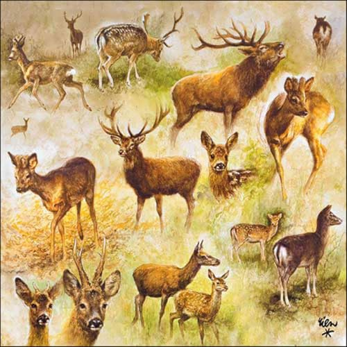 20 Servietten Tiermotive Collage an Hirsche und Rehe als Tischdeko. Papierservietten mit Motiv. Auch für Decoupage und Serviettentechnik 33x33cm