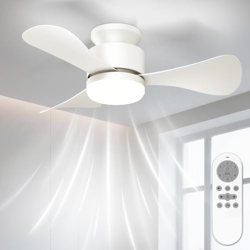 Airwit 71cm Ventilatore da Soffitto con Luce Silenzioso, Piccolo Lampadario Ventilatore Soffitto con Telecomando e Reversible DC Motore, Lampada Ventilatore LED per Camera da Letto, Soggiorno, Cucina