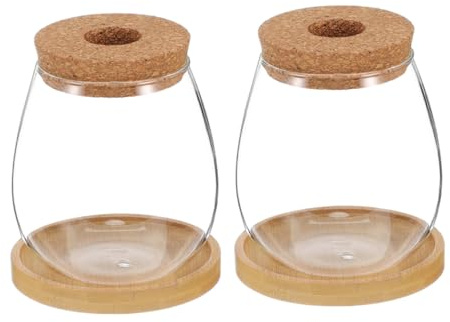 SOIMISS 2 Sets Terrarium Vases Clear Hydroponic Containers with Cork Stopper Bamboo Saucer for Succulents Durable Borosilicate Glass Water Propagation Bottles for Indoor Plant Display