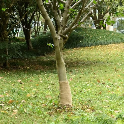 Mokuyary Rouleau de Jute 0,25x100 m 100% Jute 200 g/m² pour Jardin, Terrasse