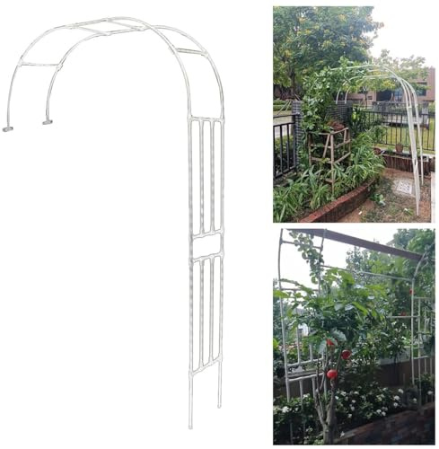 Wetterfester Metall-Rosenbogen, halbrund, Garten-Rankgitter für Kletterrosen und Clematis, freistehender Torbogen, weiß, Größen: B 220 x H 240 cm x H 240 cm x H 240 cm, B 250 x H 240 cm