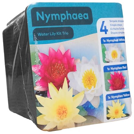 Moerings White, Pink, Yellow Water Lily Pond Plant Trio Kit - Complete Kit for Easy Pond Setup