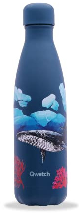 Qwetch - Bouteille Isotherme Banquise Baleine - Gourde Nomade Inox - 24h Froid et 12h Chaud - Etanche, Sans BPA & Réutilisable - Gourde isotherme pour Sport, Voyage, Bureau, Randonnée - 500ml