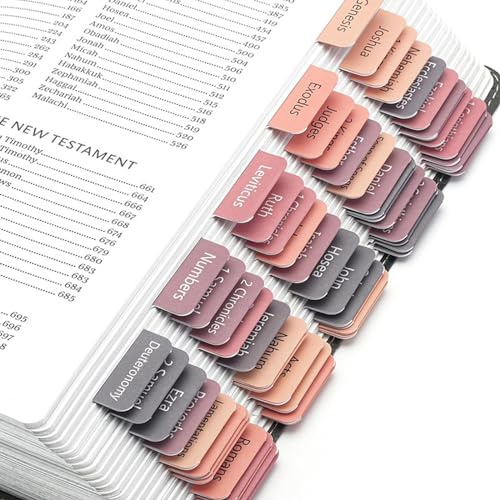 Kryzalite 75 Adesivi Laminati per Bibbia, rosa e grigio, grande regalo cristiano per donne, etichette per journaling biblico facili da leggere e da usare