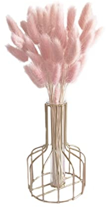 SunaOmni Queue De Lapin Séchée Fleur Naturelle Bouquet Fleurs Séchées Décor D'herbe Pampa Herbe Pour La Décoration Intérieure 50pcs 50 Cm Rose Clair