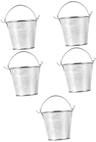 ibasenice Seau en Fer Miniature 5 Pièces pour Jardinage, Pot De Fleurs en Fer Brillant Argenté, Décoration Maison Et Balcon, Conteneur pour Succulentes Et Artisanat