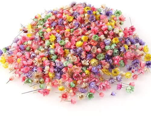Yufana 200 Pezzi Fiori Secchi Fai da Te, Per Realizzare Regali, Biglietti D'auguri, Inviti di Nozze e Altro Ancora
