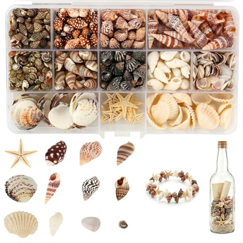 525+ Stück Muscheln, 12 Stile Muscheln zum Basteln mit Meeresschnecken, Seestern und Aufnahmebox, 0.5-3cm Kleine Muschel Dekosand, Muschelns Deko für Schmuckherstellung, Vasenfüllungen, DIY
