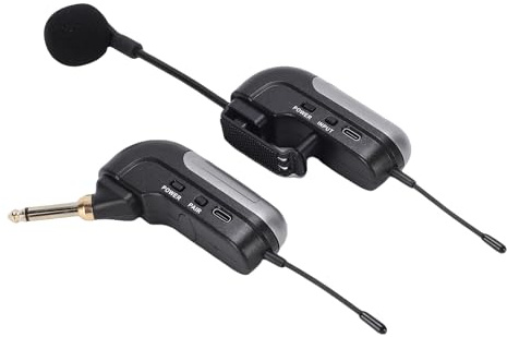 banapoy UHF-Funkmikrofon für Akkordeon, HD-Instrumentenmikrofon mit Empfänger, 30 M Reichweite, 6 Stunden Akkulaufzeit, Geeignet für Akkordeonlautsprecher
