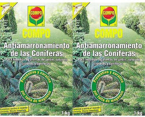 COMPO Antiamarronamiento de coníferas de larga duración, Para todo tipo de coníferas y plantas de hoja perenne, 6 meses de duración, 1 kg (Paquete de 2)