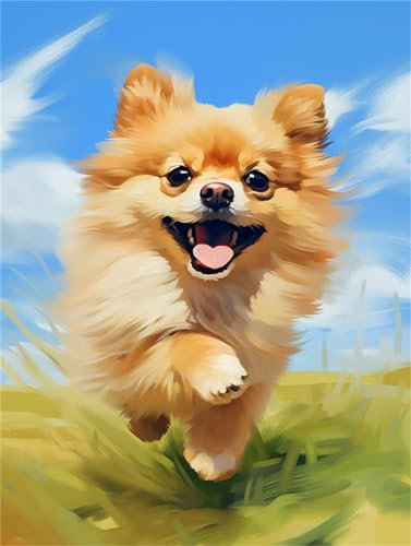 Hund Malen Nach Zahlen Erwachsene, Gras Malen Nach Zahlen Kinder Klein 70x100cm, DIY Set Erwachsene Handgemalt Leinwand Ölgemälde, Acrylfarben mit 3 Set Pinseln, Zimmer Deko Aesthetic Geschenke -Y690