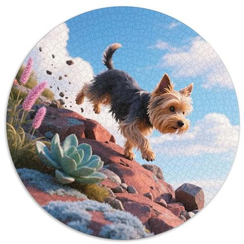 Yorkshire Terrier1000 Pieces Jigsaw Puzzles Pet DogCreative Jigsaw Puzzles Adults & Kids Difficult Challenging1000pcs (67.5x67.5cm)