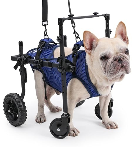 Duuclume Hunderollstuhl mit 4 Rädern für behinderte und ältere Hunde, verstellbare Mobilitätshilfe für Haustiere mit Griff, Rollstuhlwagen für Rücken-/Vorderbeine, Rehabilitation (S)