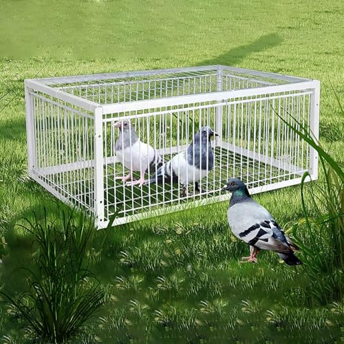 Atrapa para pájaros, puerta grande para palomas, palomas y loros, suministros de cría de aves