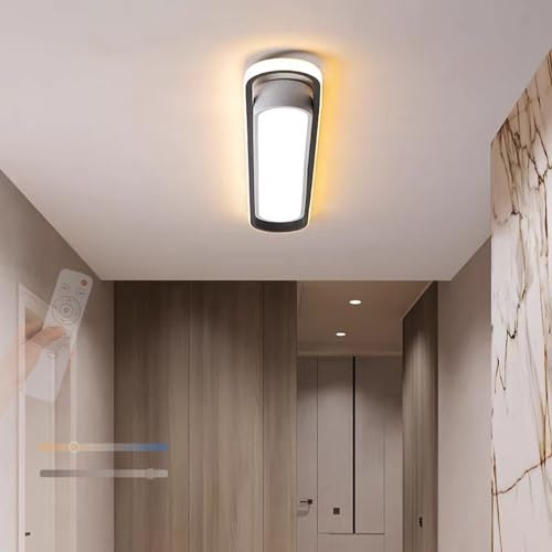 TZSMUM Interior Plafon LED Techo Moderna con Mando a Distancia Lámpara de Techo Regulable 2700K-6500K Lámpara Techo Ovalada Acrílico para Dormitorio Cocina Balcón (Negro Blanco,120cm)