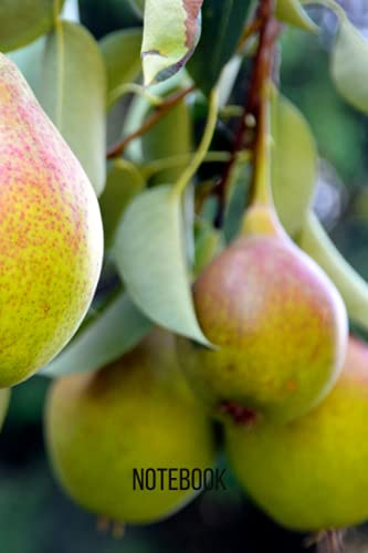 Pear Tree Notebook: blank lined composition journal | Pear Tree notebook | 100 pages