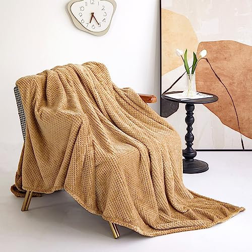Ouinne 150 X 200CM,Coperta Vellutata in Pile,Velluto waffle Adatto a tutte le stagioni,Morbida Coperta Plaid Divano Coperta Per Letto in Microfibra per Divano, Letto, Viaggi 900g