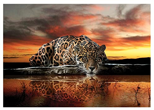Forwall - Vlies Fototapete Leopard Tiere Tier Afrika Safari Orange 312x219 cm - Fototapeten - Tapeten - für Wohnzimmer Schlafzimmer - Vliestapete Wandtapete Tapete 3D Effekt- inkl. Kleister