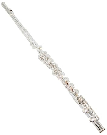 Holzblasinstrumente Flöten Mit Geschlossenem Loch 16 Tasten Flöte Mit G-Flöte Versilbert Für Anfänger-Studentenflöte(Silver-plated)