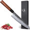 Dragon Creek 21cm Gyuto Japanisches Kochmesser, professionelles Küchenmesser, scharfes, hochwertiges Fleischmesser, Holzgriff mit Geschenkbox, asiatisches Messer für Familie und Freunde