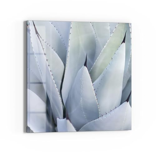 DEQORI Glas-Magnettafel | 50x50 cm cm groß | Motiv Flüsternde Agave | Memo-Board aus Glas | Magnetboard inkl. Magnete, Stift & Tuch für Küche & Büro | Tafel magnetisch & beschreibbar