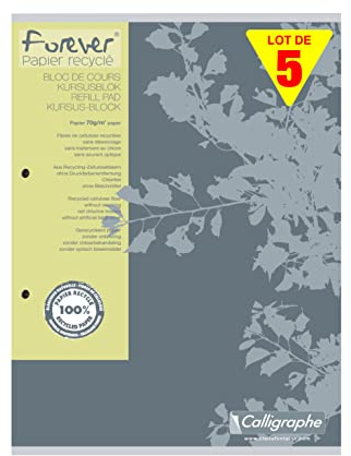 Clairefontaine 17815C - Packung mit 5 Kursusblöcken Forever DIN A4 100 Blatt 70g, 2-fach gelocht, mikroperforiert, kariert mit Rand, farbig sortiert, 1 Pack