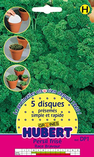 Disques Présemés Graines de Persil Frisé Race Bravour