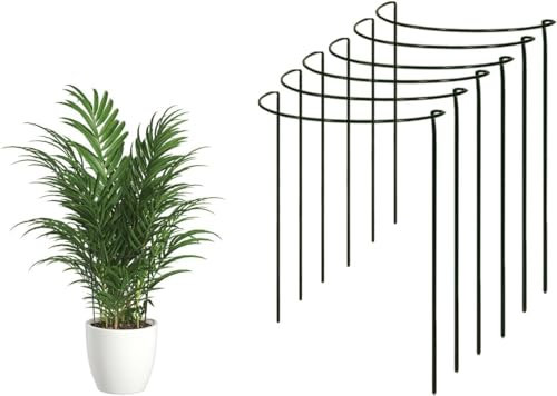 Plant Support Stakes - Ring Cage Metal Garden Plant Stakes. Green Half Round Plant Support Ring. Plant Supports for Pots and House Plants. (3, 50cm High x 25cm Wide)