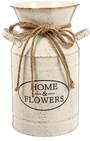 HOLIDYOYO 1pièce Pot De Fleurs Fer Vintage Seau Décoratif pour Fleurs Séchées Style Européen pour Jardin Et Décoration Intérieure