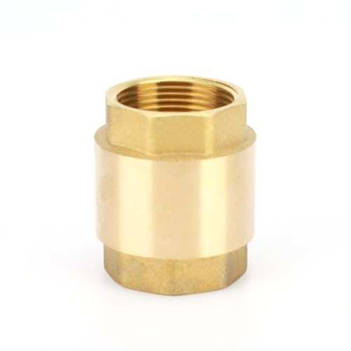 NPT-Messing-Rückschlagventil, Innengewinde, Inline-Feder zur Wasserkontrolle, 1/2 Zoll, 3/4 Zoll, 1 Zoll, 2 Zoll, 1-1/2 Zoll, 1-3/4 Zoll, DN15, DN20, DN25, DN32, DN40, DN50(Size:DN50)
