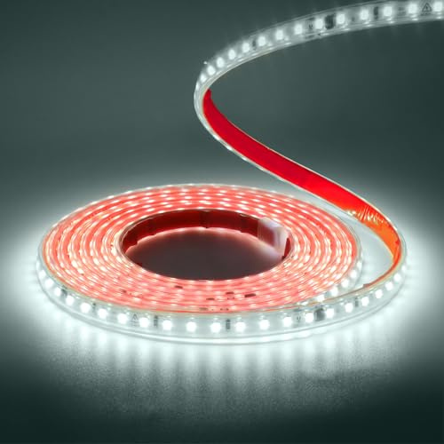 Wisada Bande lumineuse LED 220V SMD 2835, 120 LED/m, étanche IP65, bande lumineuse flexible pour lanterneaux de toit, salon, cuisine, décoration (Lumière blanche (6000-6500K), 5M)