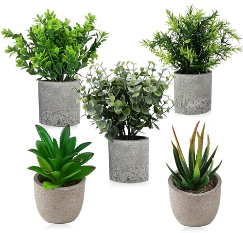 5 Stück Kunstpflanze, Künstliche Pflanzen Schlangenzunge, Agave Sukkulente, Eagle Claw Aloe, Kunstpflanzen Anwendbar auf Hochzeit, Büro, Deko badezimmer, Innenräume, Wohnung, Balkon, Wohnzimmer