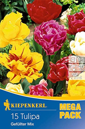 Mega-Pack Gefüllte Tulpen Mischung, eine Auswahl wunderschöner Tulpen in verschiedensten Farben, Wuchshöhe ca. 35 cm, mehrjährig