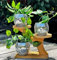 Set of 3 Disco Ball Planter Pot with Wood Stand Holder,Indoor Plant Cactus Succulent Flower Pot,Mirror Glitter Silver Glass Disco Ball Planter and Bamboo Plant Holder,for Party Garden Office Desk