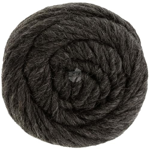 LANA GROSSA Landlust die Filzwolle | Filzgarn aus 100% Schurwolle | Handstrickgarn aus 100% Schurwolle | 100g Wolle zum Stricken & Häkeln | 100m Garn FB5006