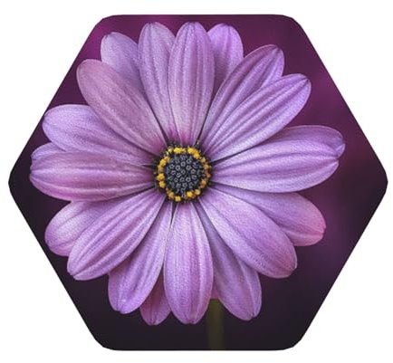 Lila Chrysanthemen-Druck Leder Untersetzer Set Stilvolle und praktische Wohnaccessoires