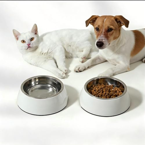 Lot de 2 Gamelles Chat Chien - Acier Inoxydable 400ml - Bol Antidérapant Anti-Renversement - Design Minimaliste Blanc Crème