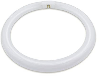 lumenivo FC16T9 40W Circline Fluorescent Bulb Replacement 16 Inches - T9 Bulb with 4-Pin Base (G10Q-4) – 6500K Daylight - 1 Pack