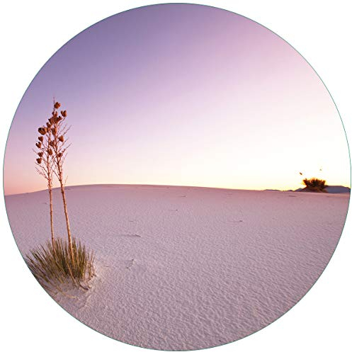 Wallario Glasbild rund Kleine Oase in der Wüste - Rund, 50 cm Durchmesser Wandbild Glas in Premium-Qualität: Brillante Farben, freischwebende Optik