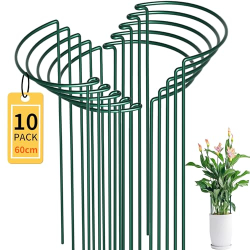 10 Stück Halbrund Pflanzenstützen 25x60cm,4mm Stahldraht Pflanzenhalter | Staudenhalter ideal für Pfingstrosen, Hortensien, Rosen und Dahlien ,Grüne Windschutz Gartenstütze