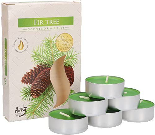 KOTARBAU® 6er Pack Duftkerzen Teelichter Tanne Duftteelichter Brenndauer 4 Stunden